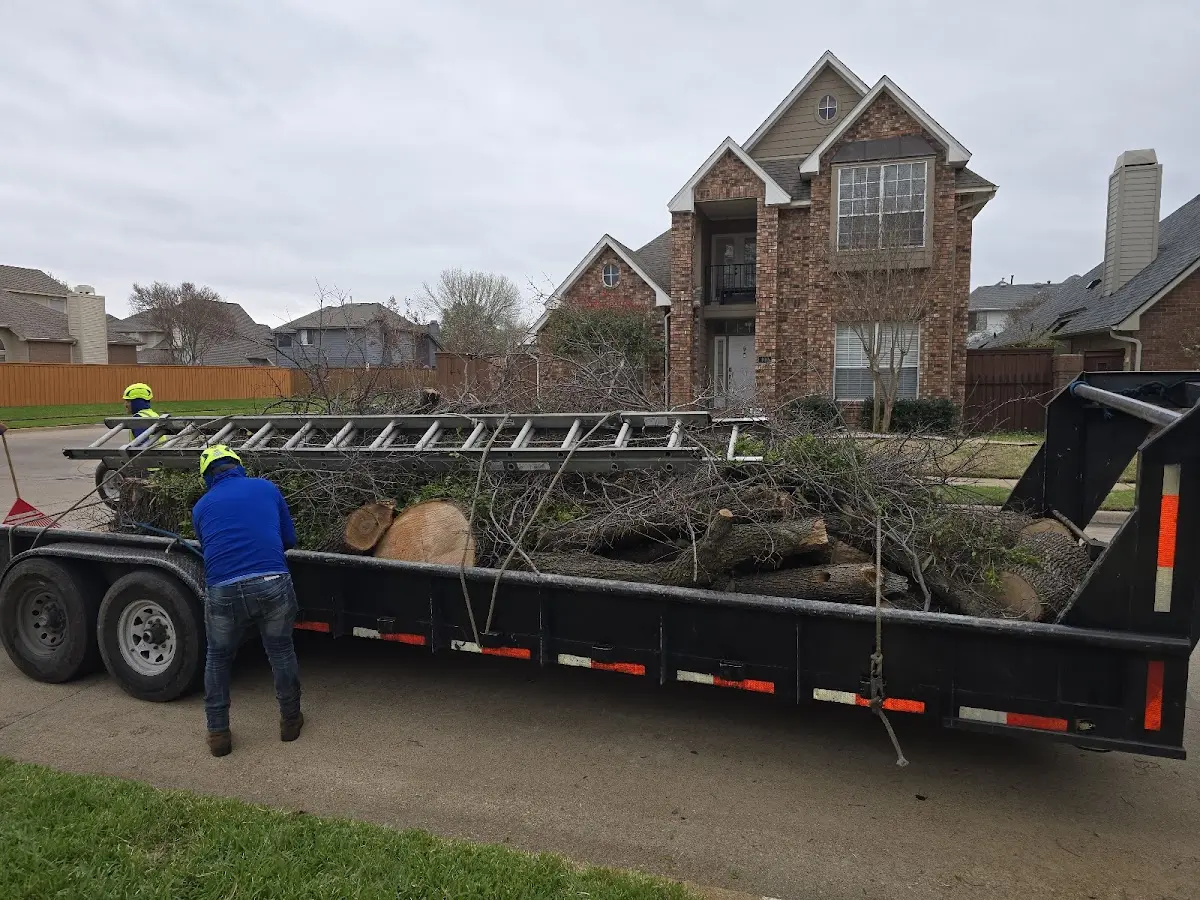 Expert Tree Fertilization with proper safety equipment in North Liberty